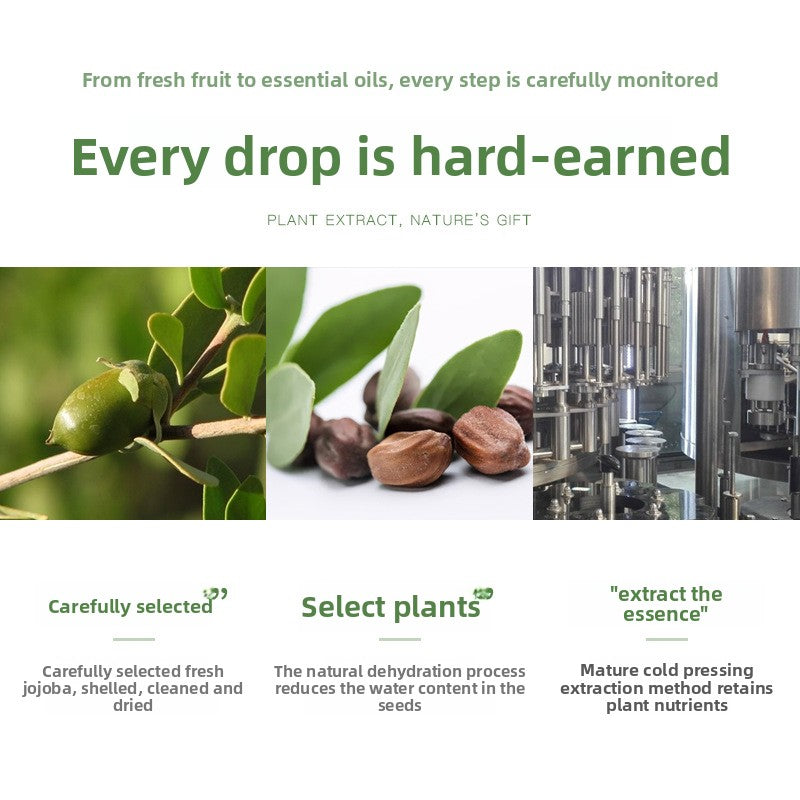 Cold Pressed Jojoba Oil